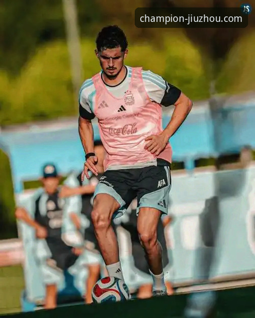 资深球迷解析：从帕尼切利重伤看阿根廷世界杯前景与观赛平台选择